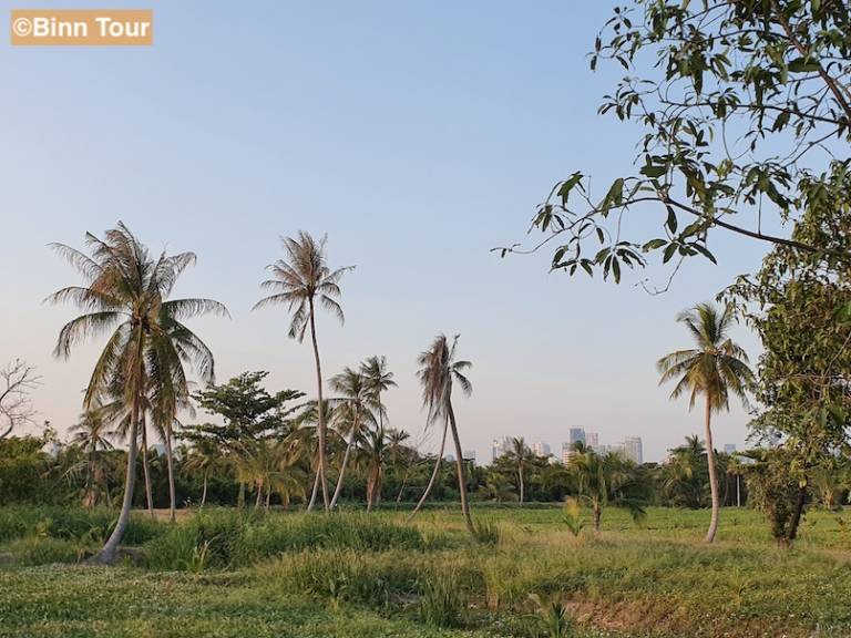 Bang Kachao Bangkok S Secret Oasis Binn Tour